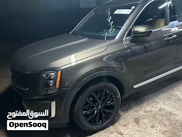 تيلورايد 2022 امريكي