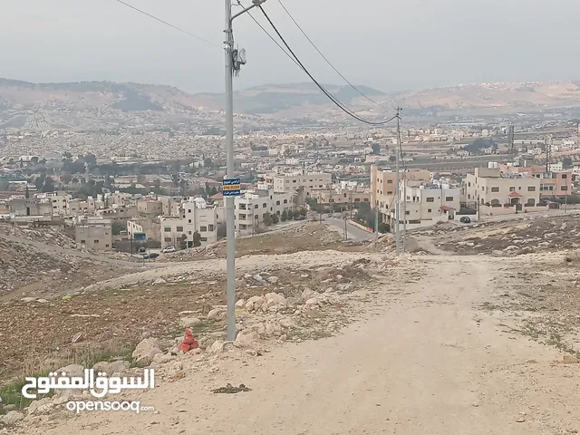 Residential Land for Sale in Amman Safut