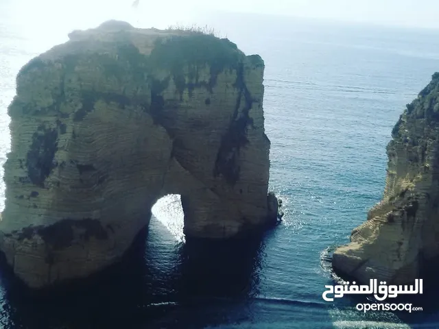 شقة مفروشة للايجار بيروت محيط الجامعة العربية