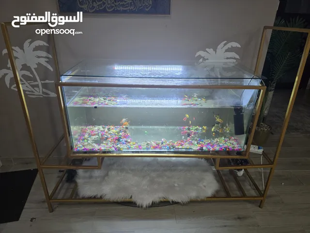 حوض سمك جميل