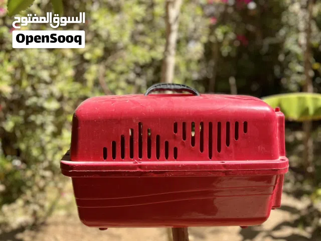 قفص نقل قطط