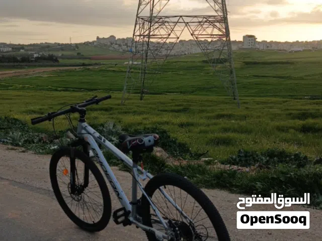 بسكليت 26 عدد 2
