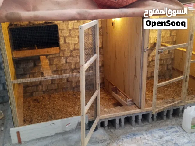 قفص يصلح للدجاج او الحمام