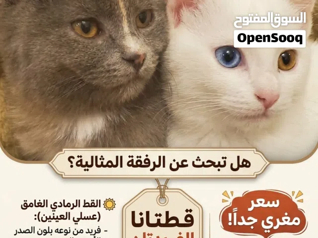 ينتظروا عائلة تحبهم ذولا الحلوين