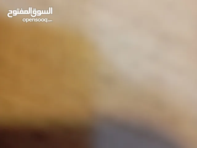 مطعم للبيع المطعم شغال او للضمان