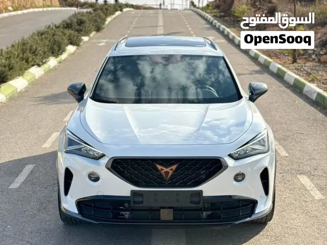 2025 سيات اخرى