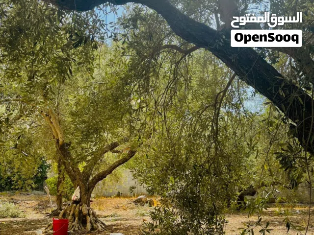 قطعته ارض للبيع 750 متر