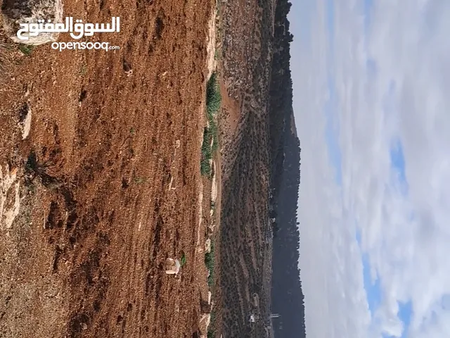 Farm Land for Sale in Jerash Other
