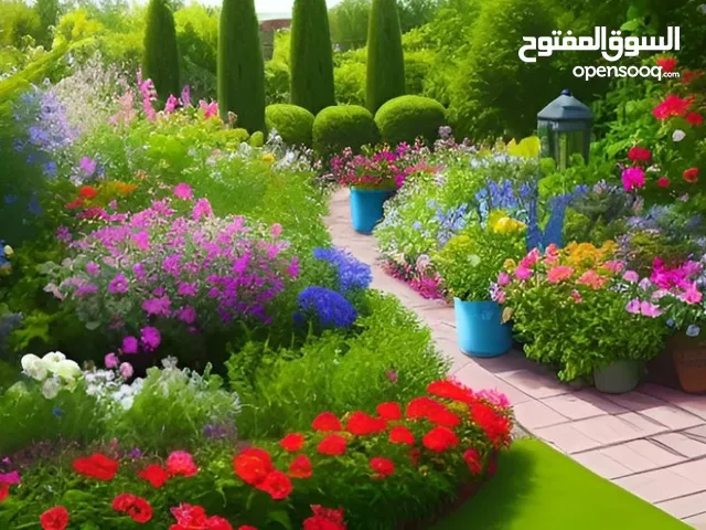 قطعه ارض زراعي