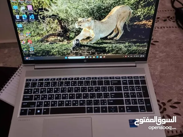 HP Probook 450 G10