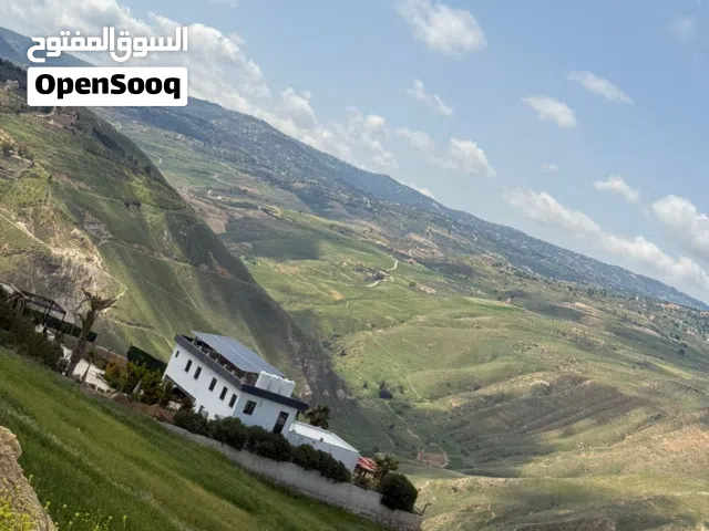 شاليه ومزرعة الطيب