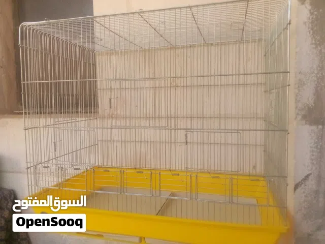مطير معاكيف