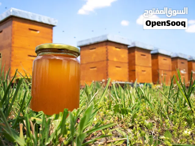 عسل طبيعي إيراني فاخر – أصلي 100%