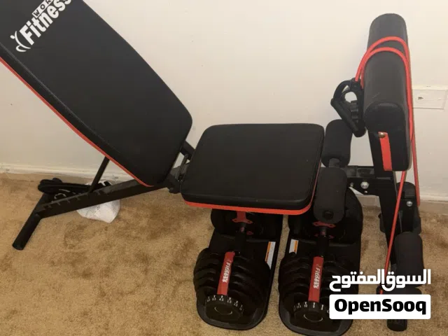 دمبل و بينش