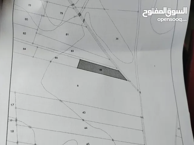 Farm Land for Sale in Irbid Bayt Yafa