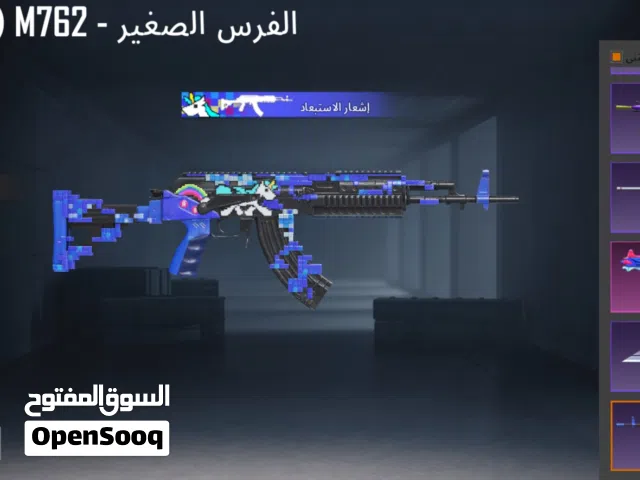 Pubg Accounts and Characters for Sale in Amman