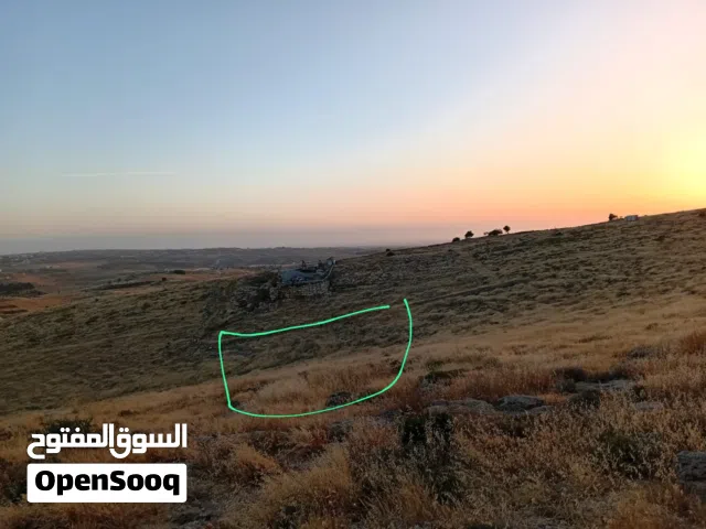 Mixed Use Land for Sale in Hebron Dura