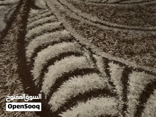 سجاد شاغي وممرات للبيع
