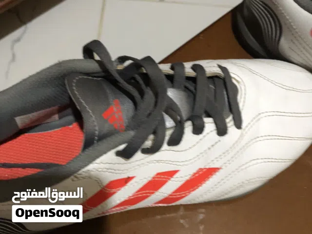 سولي COPA مستعمل استعمال خفيف سوما