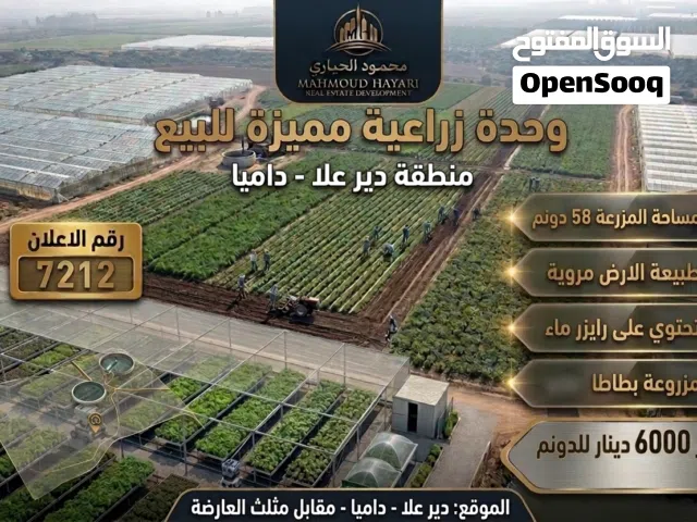Farm Land for Sale in Salt Deir Alla