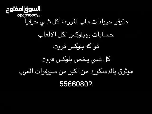 كل شي يخص روبلوكس ( اقراء الصوره )