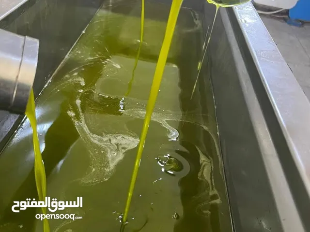 زيت زيتون غرياني مضمون