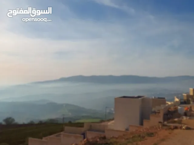 Mixed Use Land for Sale in Jerash Al-Rashaida