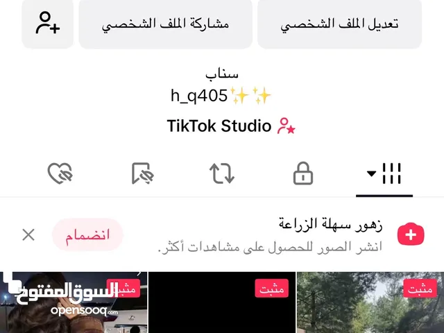 Social Media Accounts and Characters for Sale in Al Ain