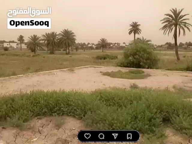 Farm Land for Sale in Baghdad Arab Ejbur