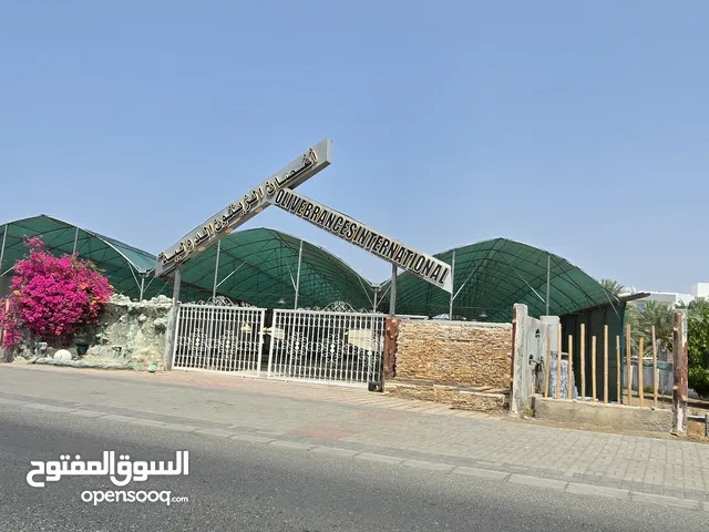 للبيع أرض سكنية خط أول شارع الدما بعد لولو هايبر ماركت