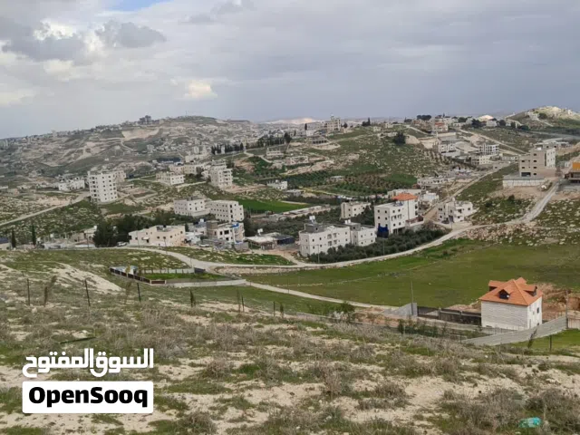 ارض للببع في بيت تعمر