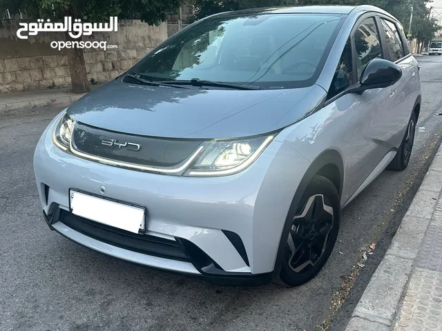 Used BYD Dolphin in Amman