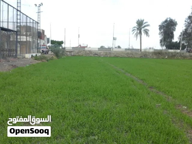 Mixed Use Land for Sale in Zagazig Other