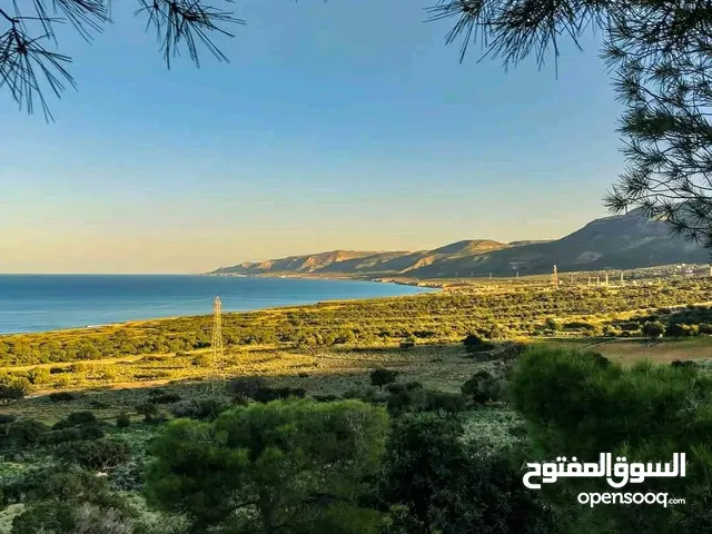 شقة للايجار سوق الجمعه عرادة