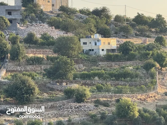 مزرعه للبيع / عجلون / رأس منيف
