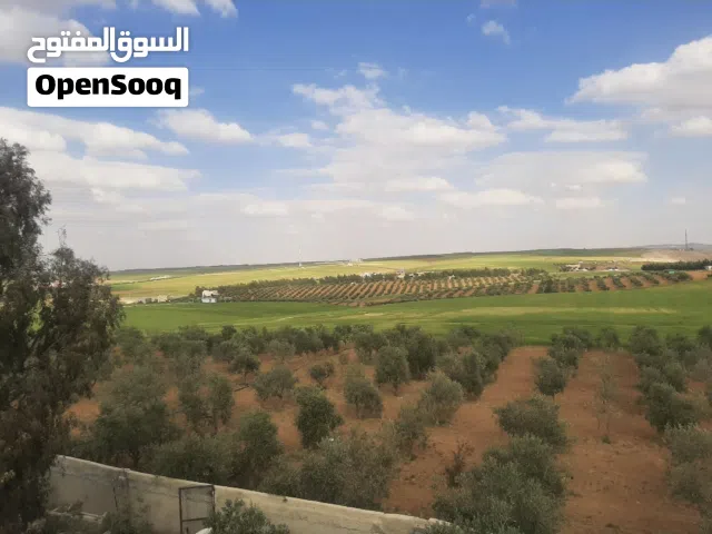 Mixed Use Land for Sale in Madaba Thiban