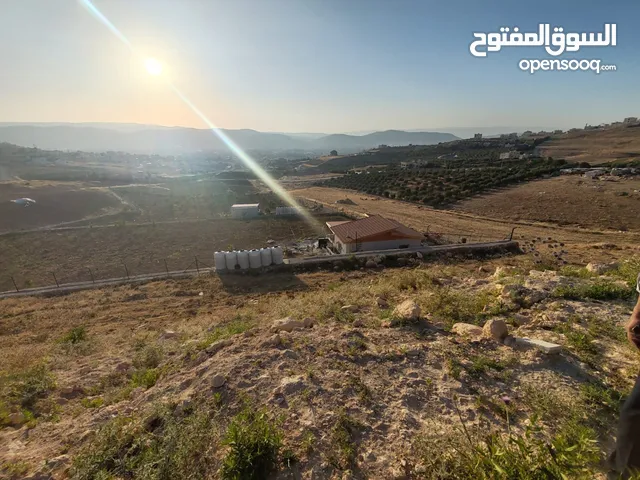 Residential Land for Sale in Amman Safut