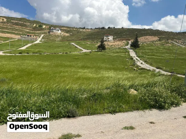فرصة ارض في الكمشة بسعر مغري للبيع