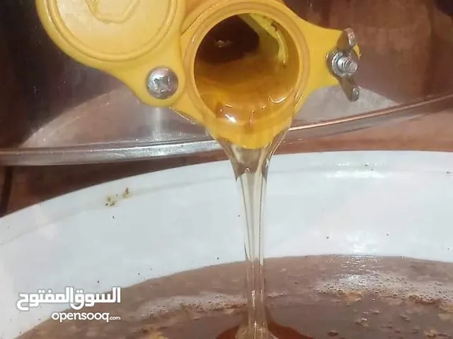 عسل الجبل و كافور والسدر الحر 100%