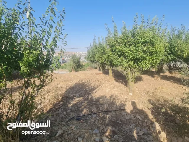 Mixed Use Land for Sale in Hebron Beit Ummar