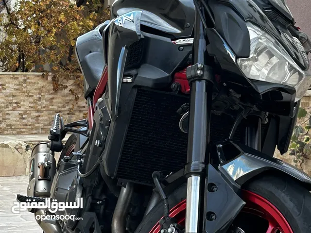 Kawasaki Z900 2019