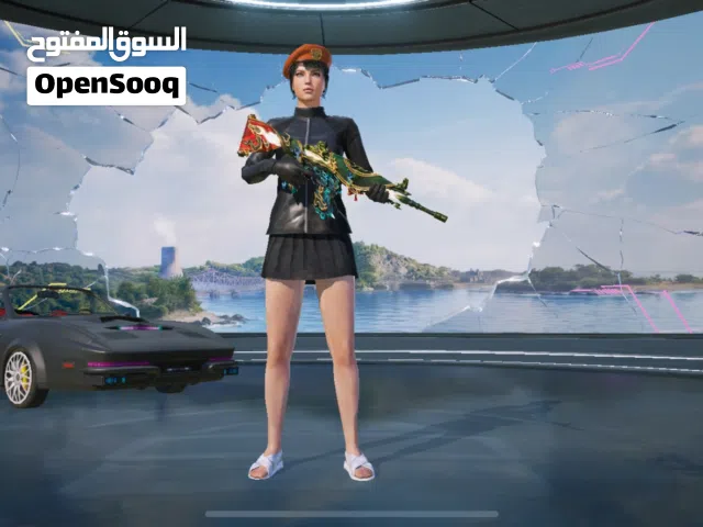 Pubg Accounts and Characters for Sale in Al Batinah
