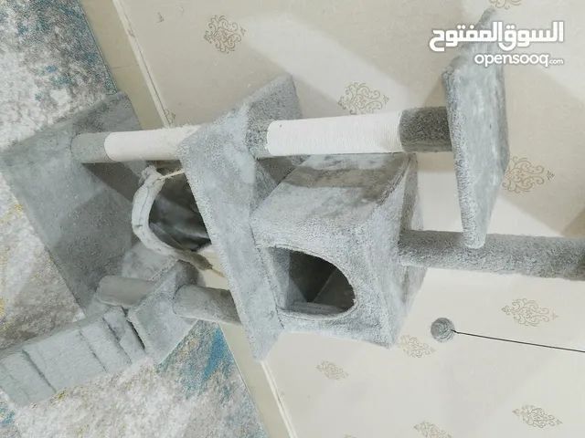 للقطط مستعمل شي بسيط بحاله ممتازه CAT TREE for cats and kittens in good condition