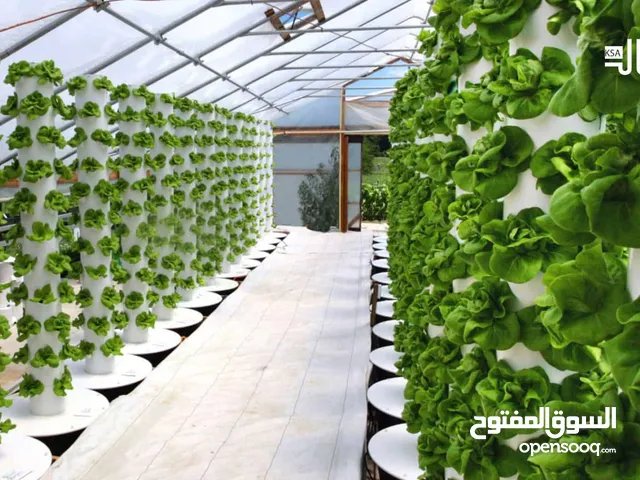 مطلوب شريك او مستثمر لاحد مشاريع زراعية في ابو ظبي