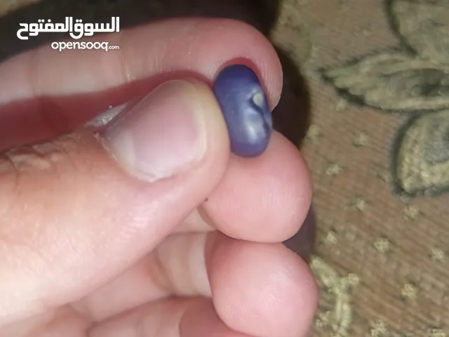 حجر بنفسجي غريب يشبه حبة العوين