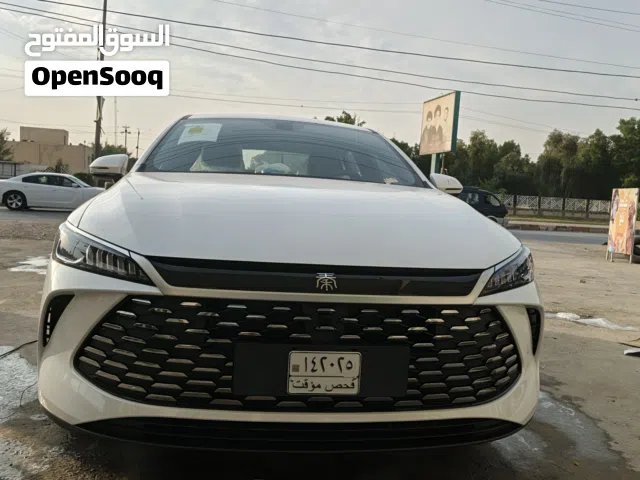 New BYD Other in Babylon