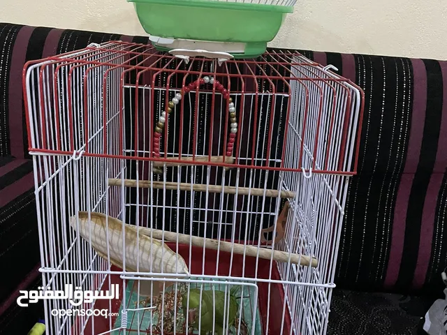 قفصين للبيع نظيييفين جدًا كبير وصغير