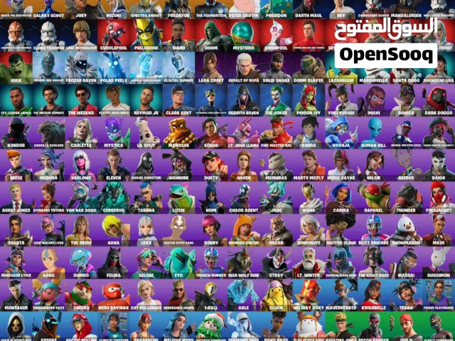 بيعة سريعة، حساب وايلد كات فورت نايت ضمان مدى الحياة