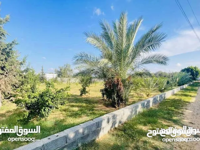 Farm Land for Sale in Tripoli Ain Zara