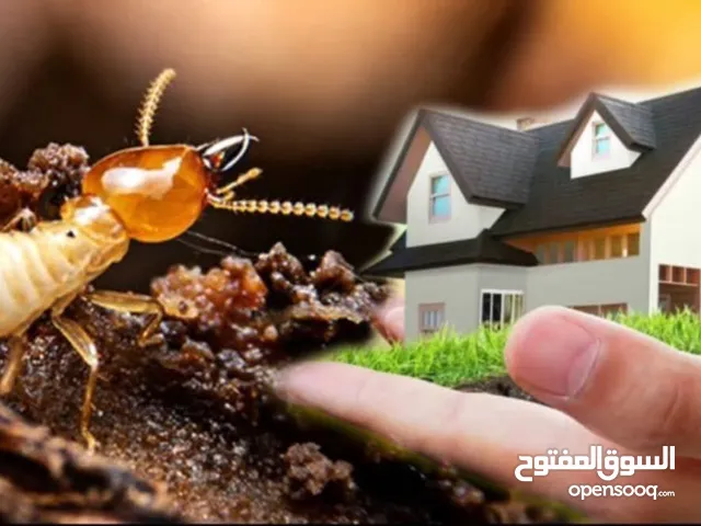 شركة مكافحة الرمة